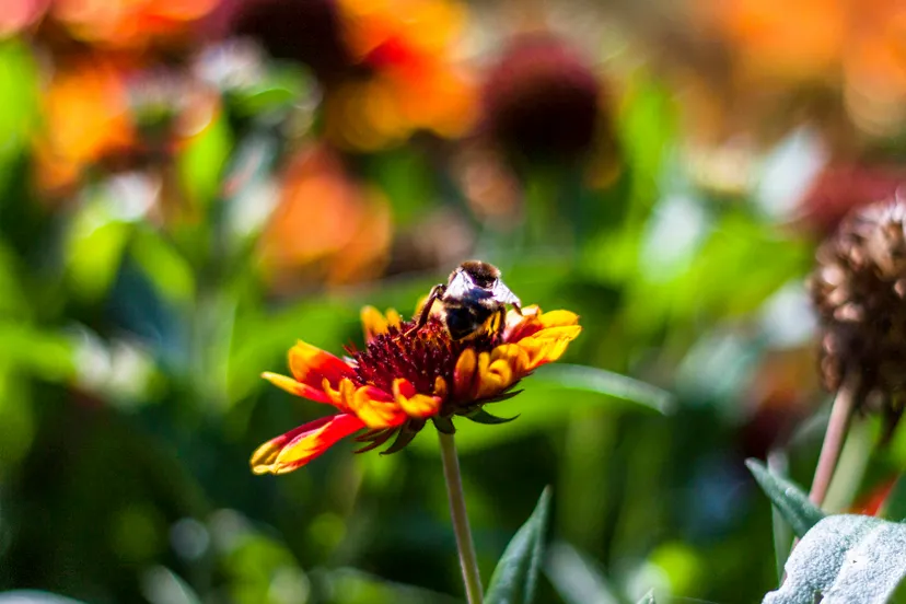 ontwerp zonder titel 2021 04 24t073728649