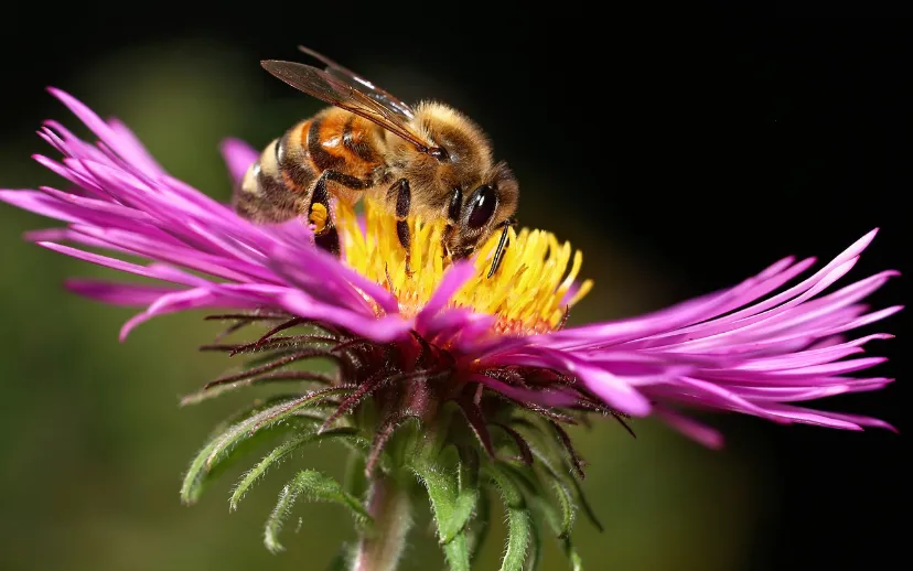 ontwerp zonder titel 2021 04 30t064429666