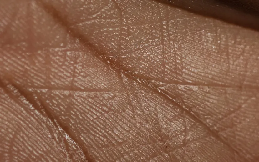 ontwerp zonder titel 2021 05 05t080519293