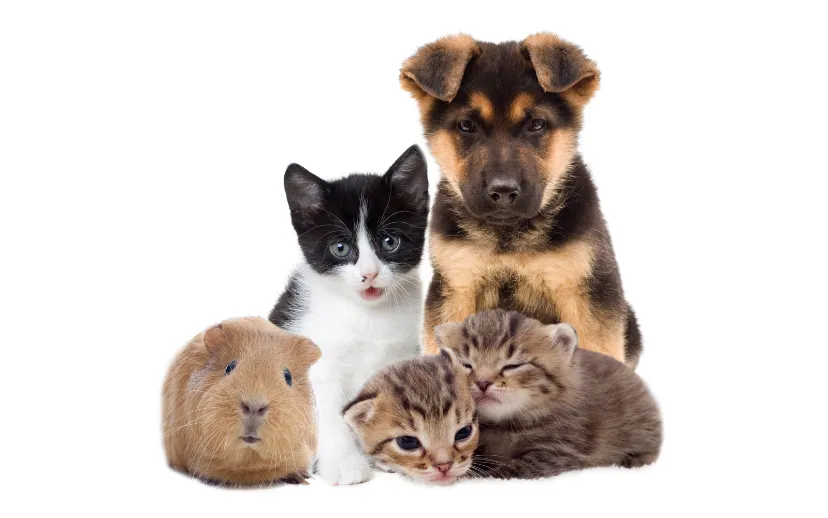 ontwerp zonder titel 2021 05 07t150129939