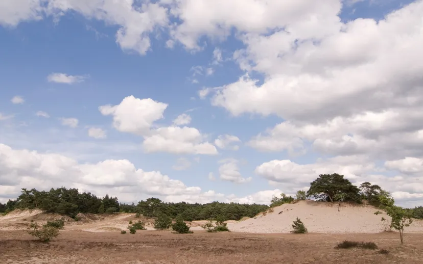 ontwerp zonder titel 2021 05 08t064337801