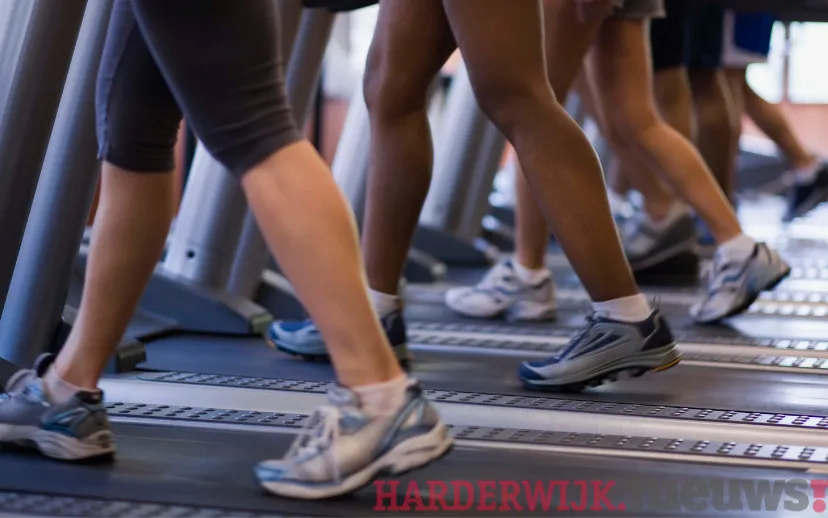 ontwerp zonder titel 2021 05 17t064239656