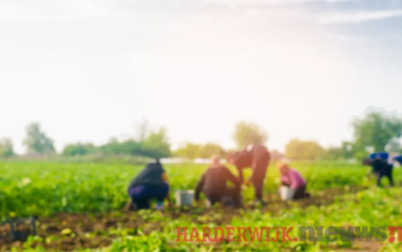 ontwerp zonder titel 2021 05 28t101636092