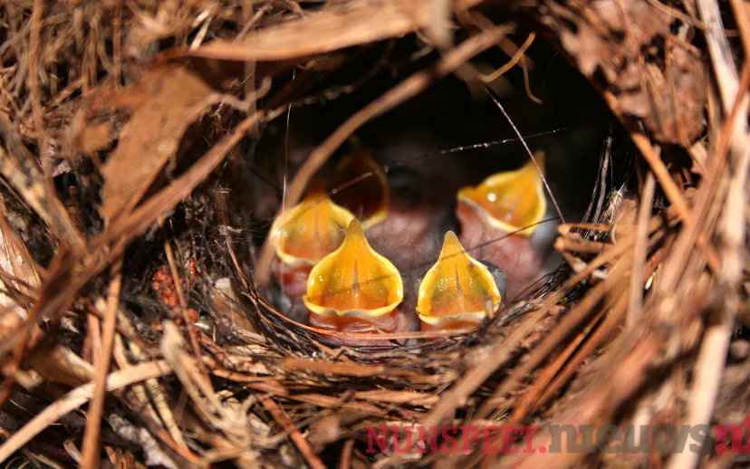 ontwerp zonder titel 2021 06 03t140322153