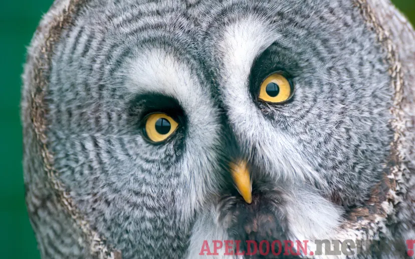 ontwerp zonder titel 2021 09 04t072722498 1