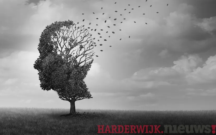 ontwerp zonder titel 2021 09 08t184243973