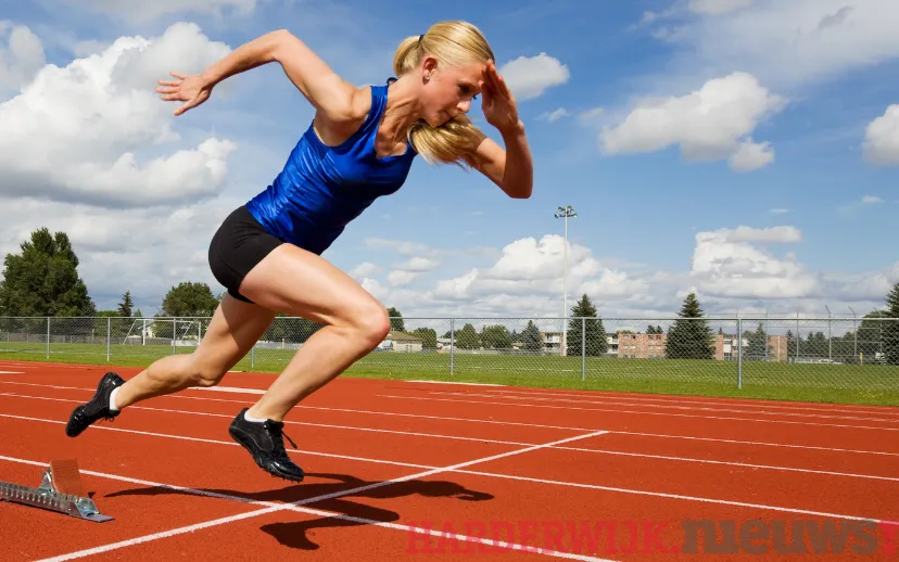 ontwerp zonder titel 2021 09 10t142834152