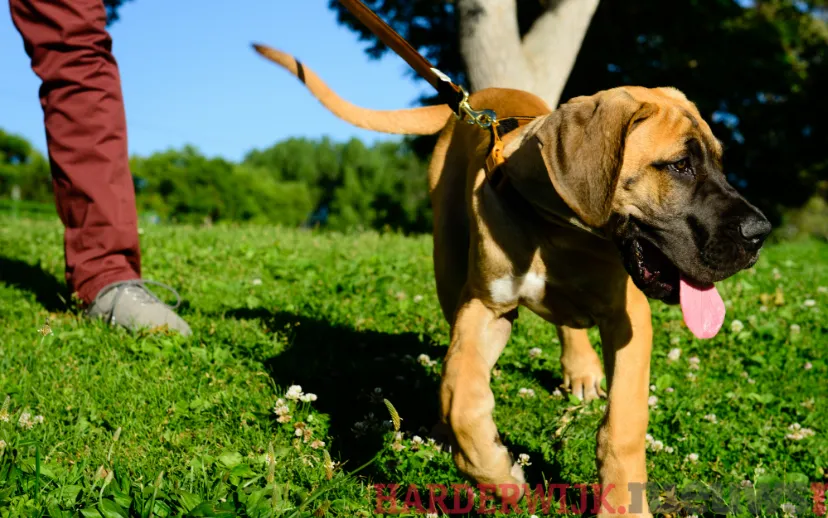 ontwerp zonder titel 2021 09 21t102721220