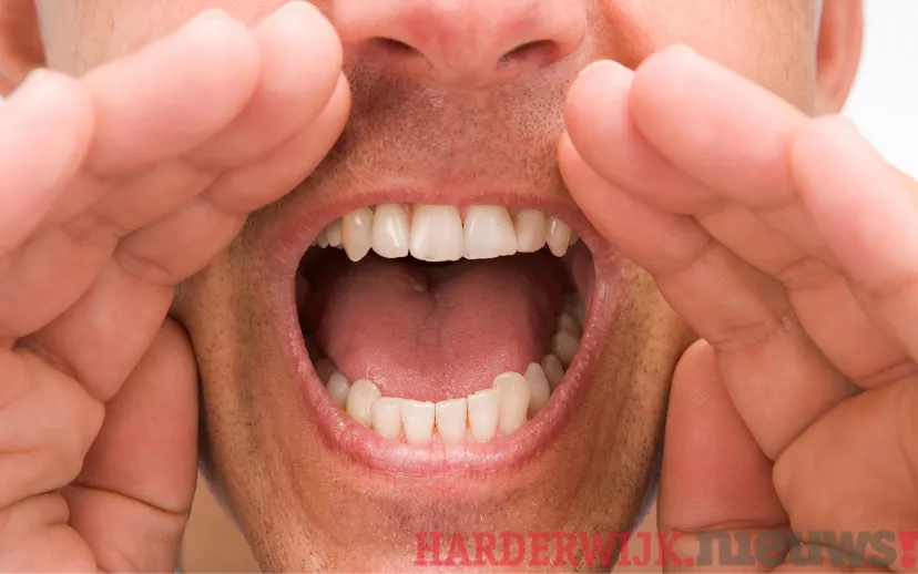 ontwerp zonder titel 2021 09 28t090231040