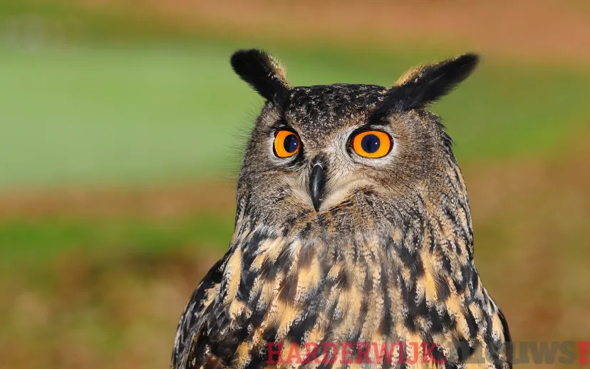 ontwerp zonder titel 2021 09 28t153522991