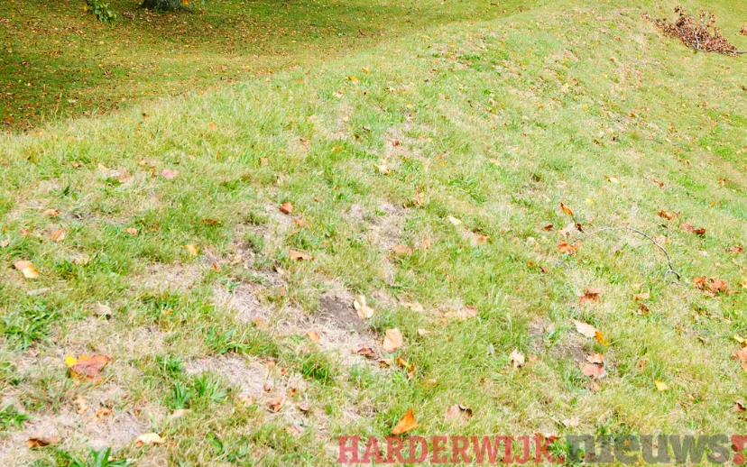 ontwerp zonder titel 2021 10 25t122513812