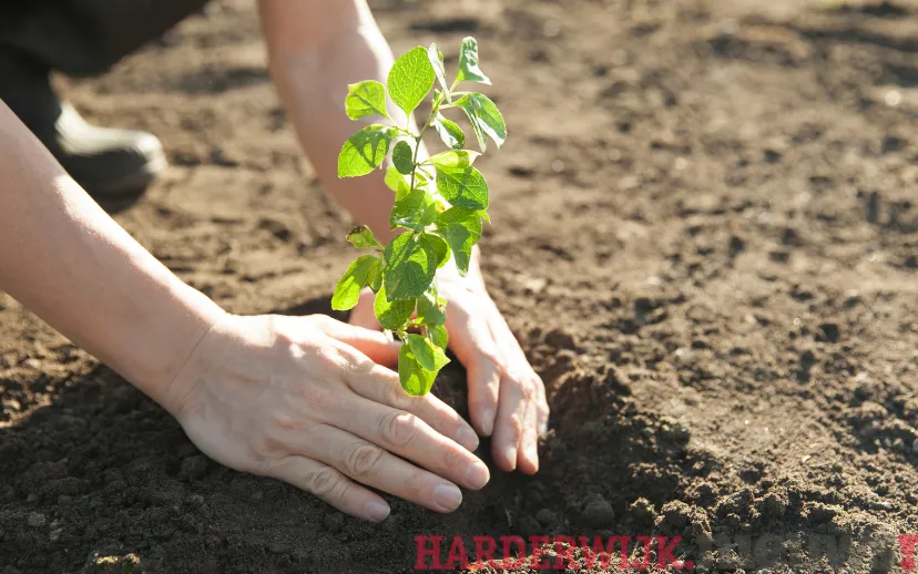 ontwerp zonder titel 2021 10 28t070144948