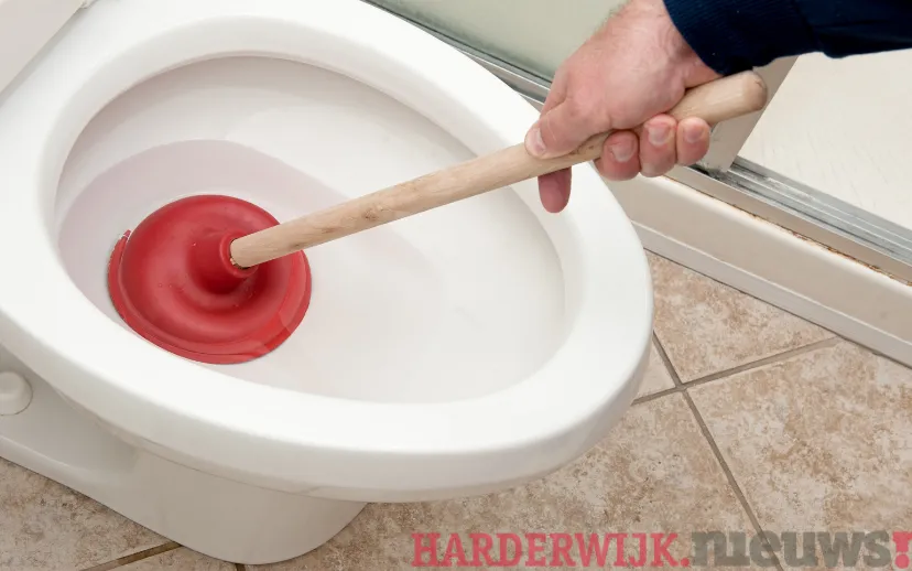 ontwerp zonder titel 2021 11 02t102142863