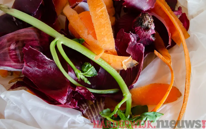 ontwerp zonder titel 2022 01 31t151739673