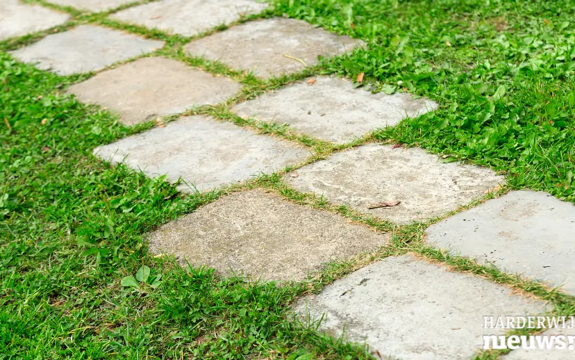 ontwerp zonder titel 2022 03 23t100101846