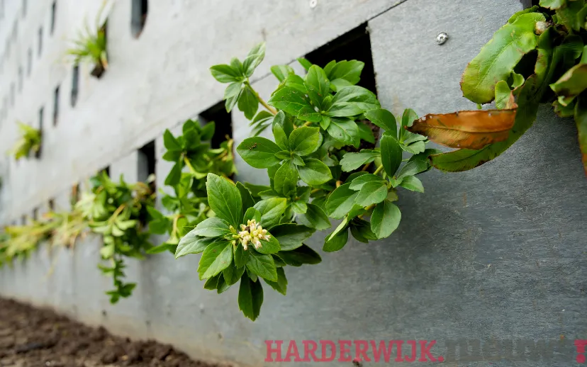 ontwerp zonder titel 23