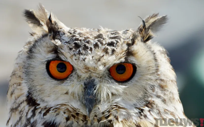 ontwerp zonder titel 24