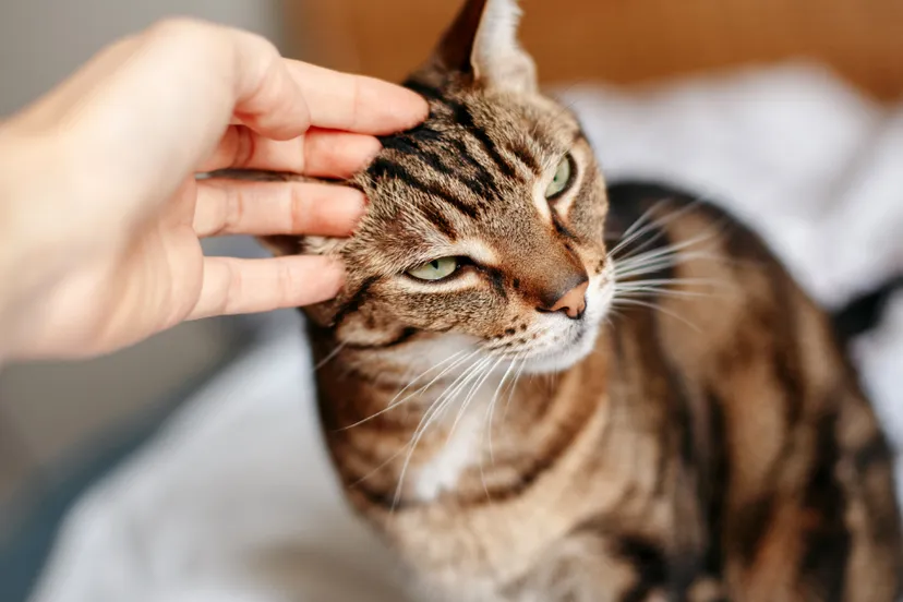 ontwerp zonder titel 27