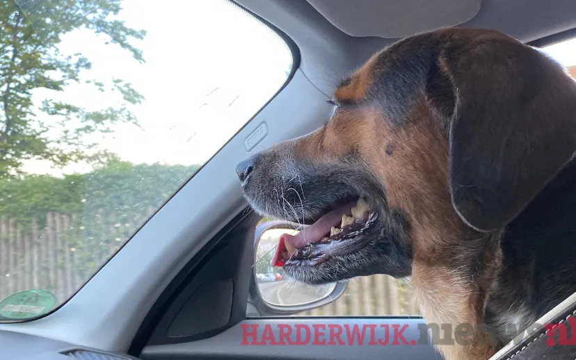 ontwerp zonder titel 28