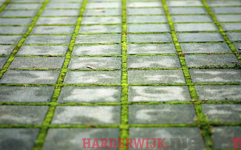 ontwerp zonder titel 31