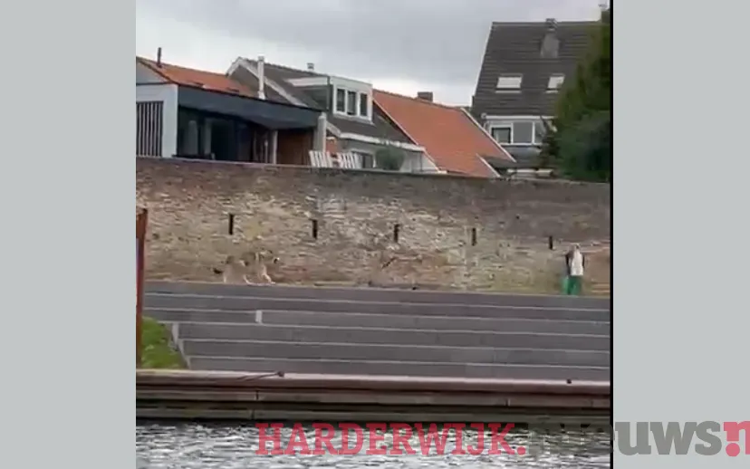 ontwerp zonder titel 32 1