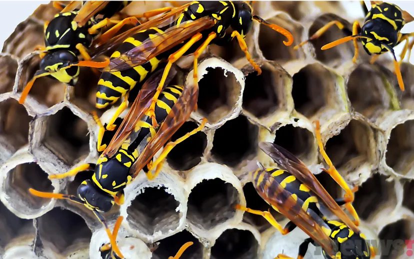 ontwerp zonder titel 33