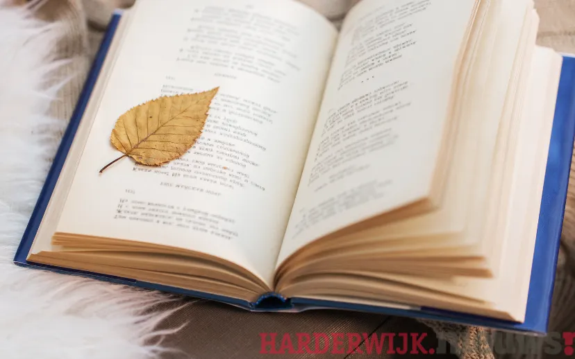 ontwerp zonder titel 38