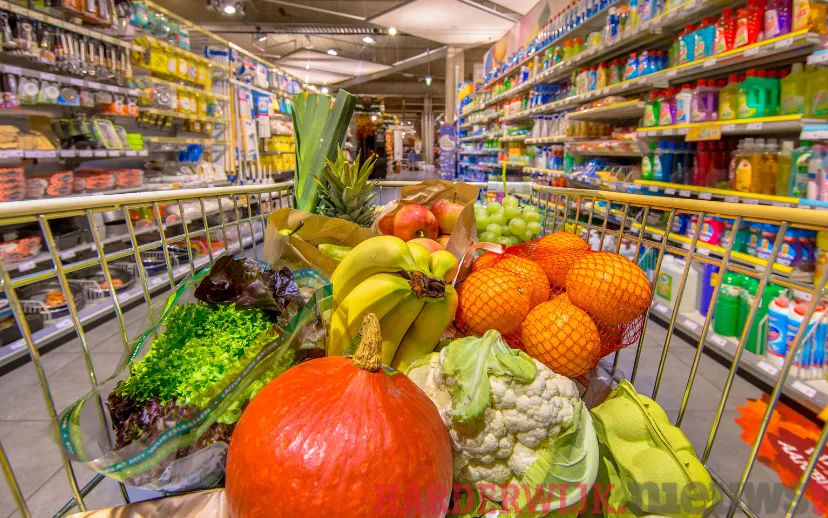 ontwerp zonder titel 40