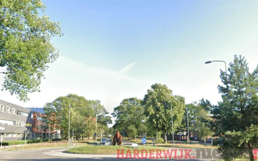 ontwerp zonder titel 41