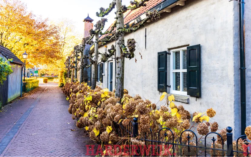 ontwerp zonder titel 41