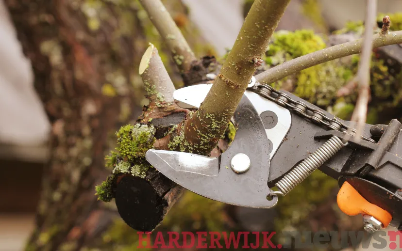 ontwerp zonder titel 43