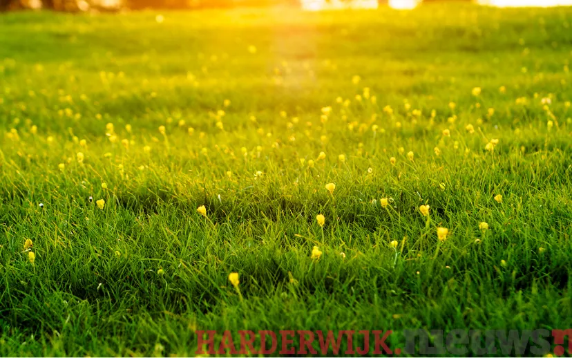 ontwerp zonder titel 44