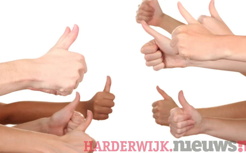 ontwerp zonder titel 45