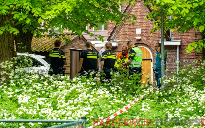 ontwerp zonder titel 46