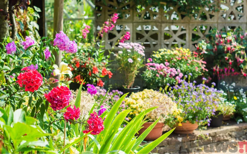 ontwerp zonder titel 46