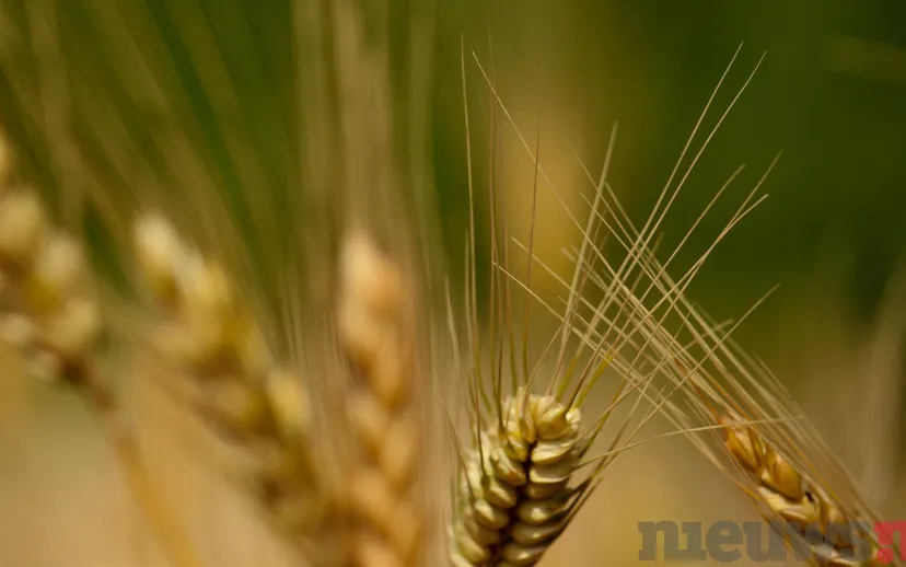 ontwerp zonder titel 47