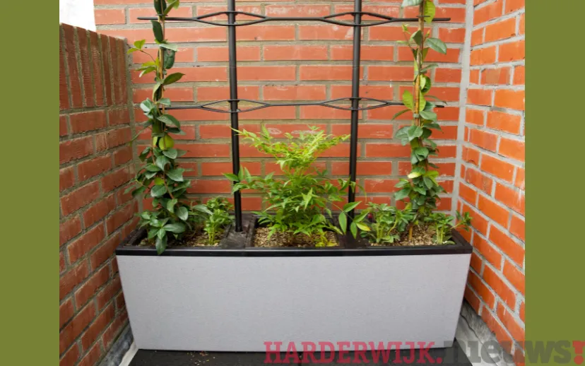 ontwerp zonder titel 48