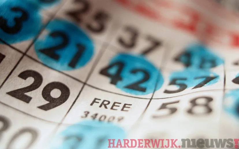 ontwerp zonder titel 5