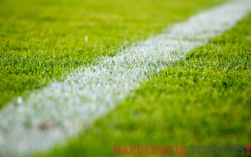 ontwerp zonder titel 5