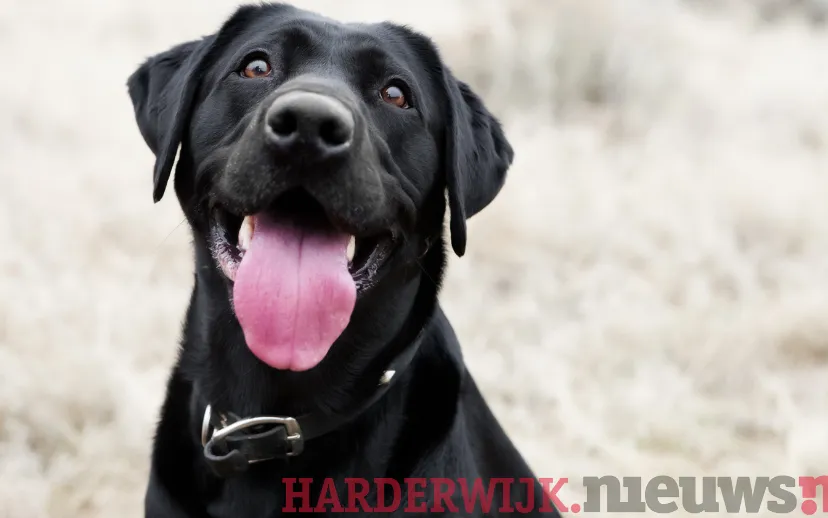 ontwerp zonder titel 5