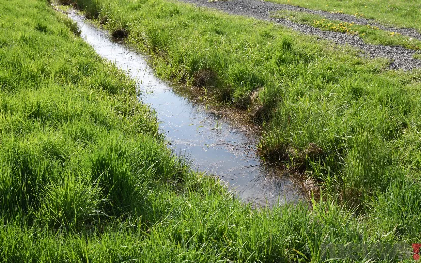 ontwerp zonder titel 50