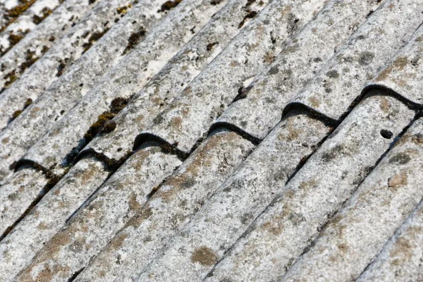 ontwerp zonder titel 59