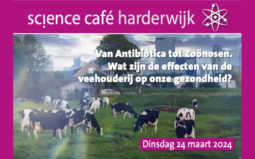 ontwerp zonder titel 6