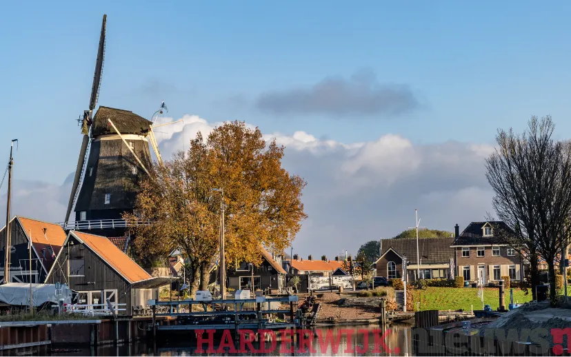 ontwerp zonder titel 62