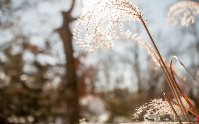 ontwerp zonder titel 66