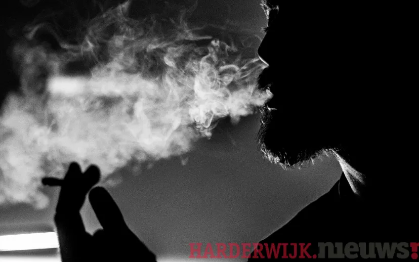 ontwerp zonder titel