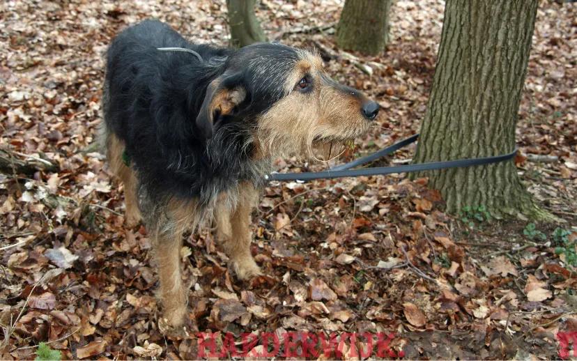 ontwerp zonder titel 7