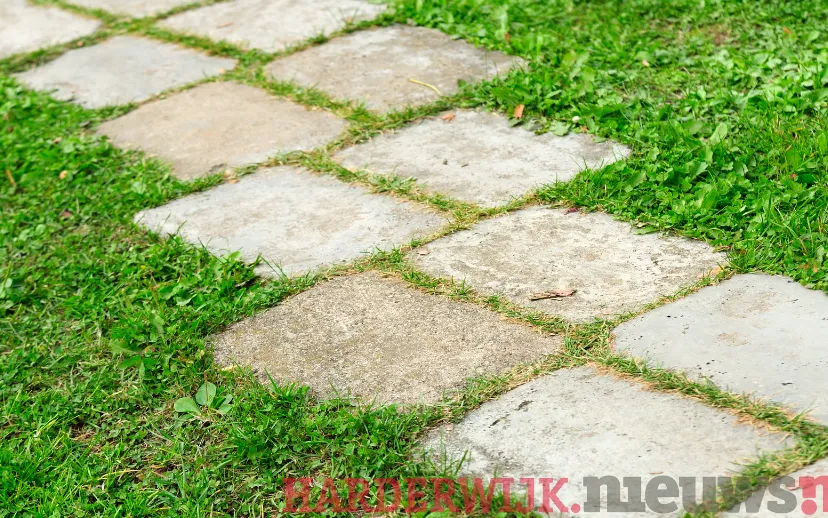 ontwerp zonder titel 7