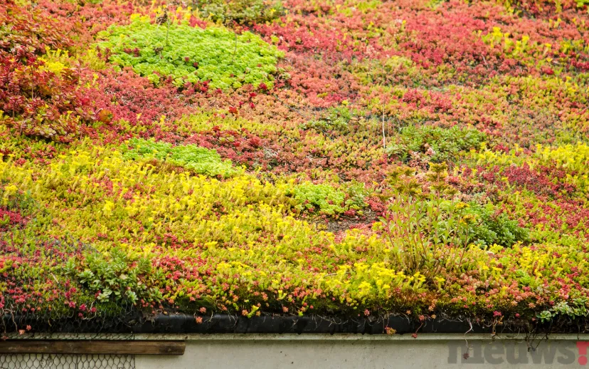 ontwerp zonder titel 70