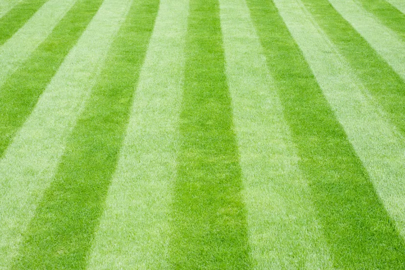 ontwerp zonder titel 70